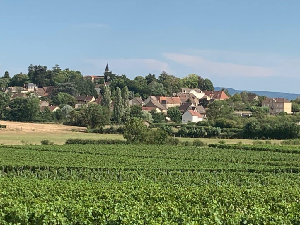 Vue depuis les vignes sur un village de Bourgogne
